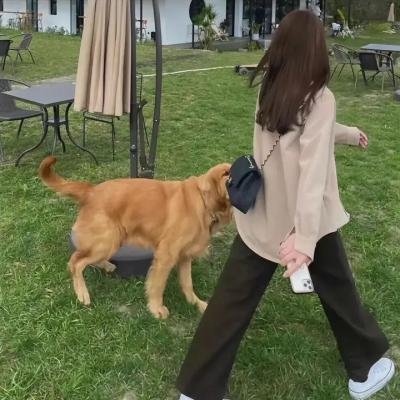 大独裁者秘史